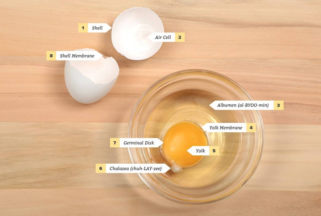 Eggs Recipe Neuman's Kitchen