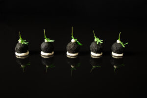 vegan menu