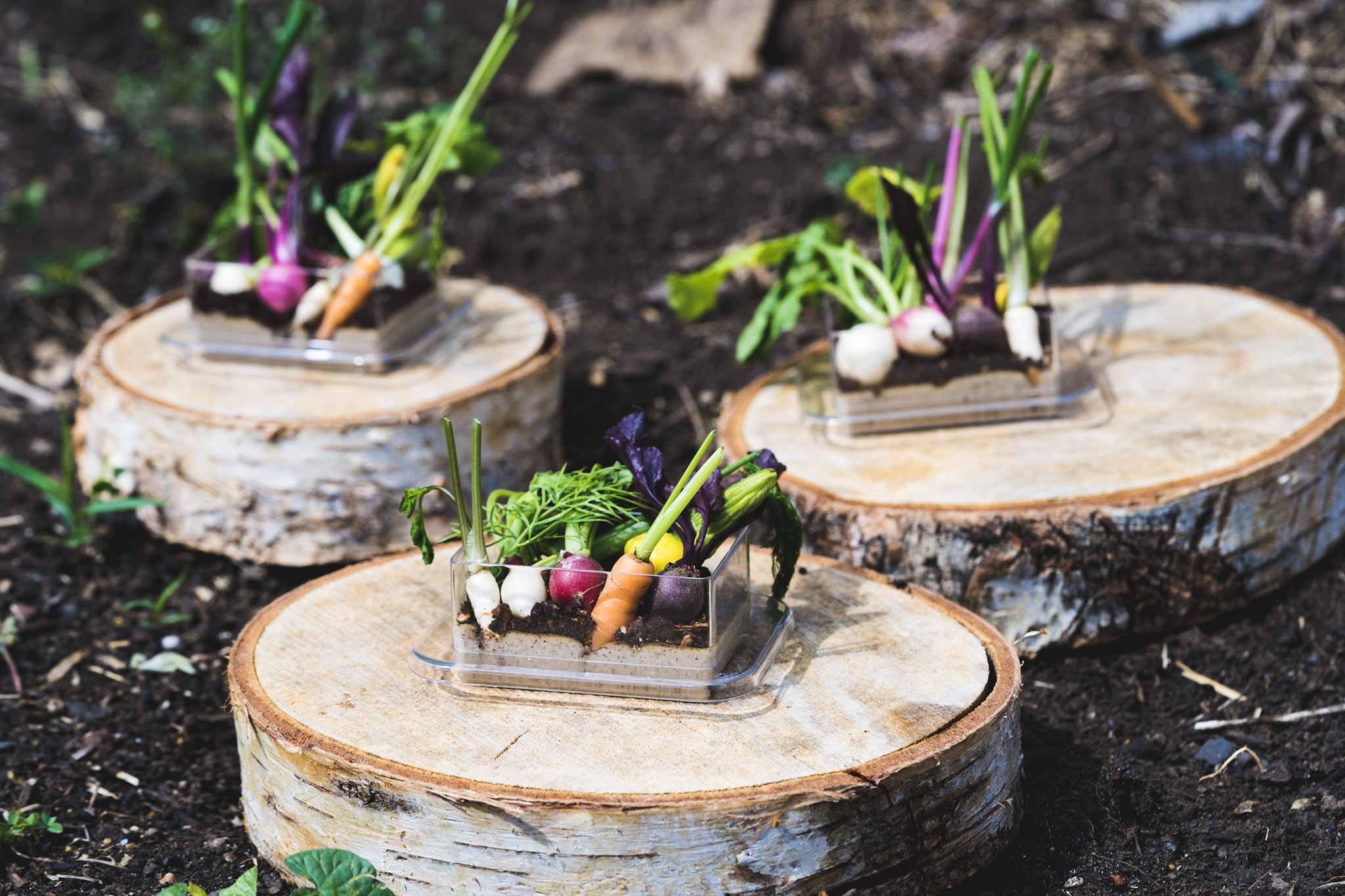 Vegetable Crudite